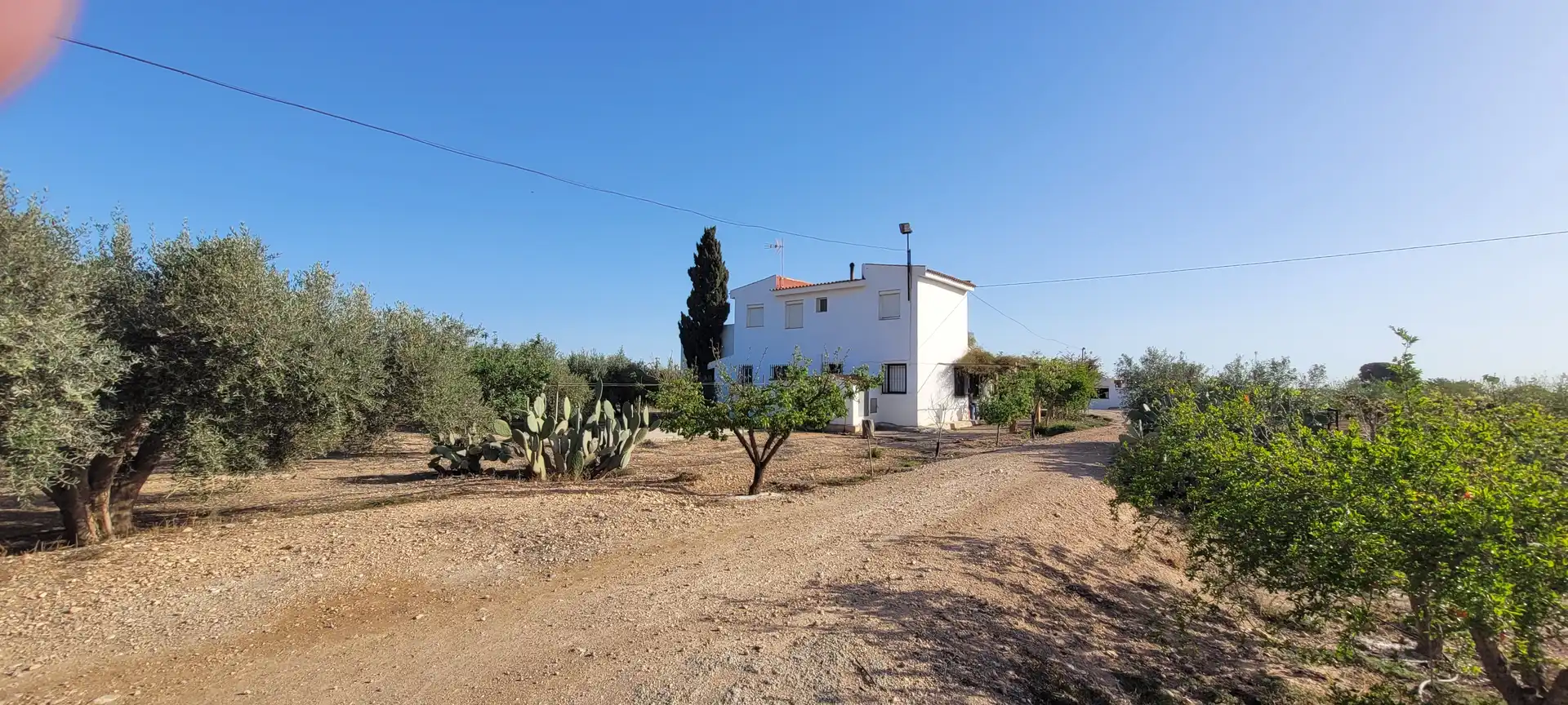 Exterior view of Country homes for sale in Murcia  with Heating, Private garden and Terrace