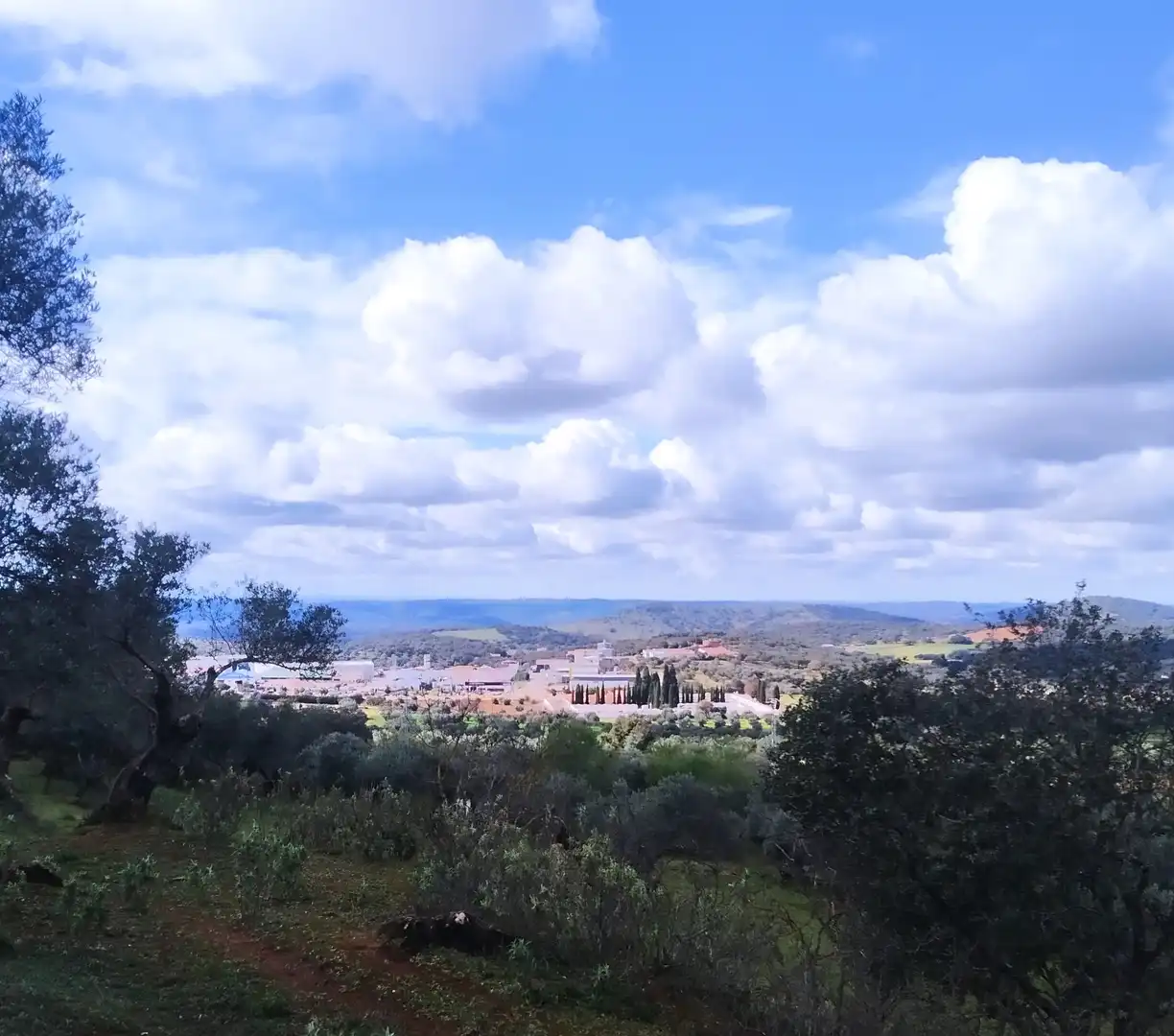 Terreni e lotti in vendita a Jerez de los Caballeros, imagen 11