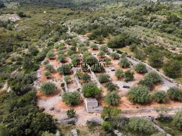 Rural land for sale in Cervera del Maestre