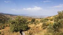 Land for sale in Zona baja, imagen 2
