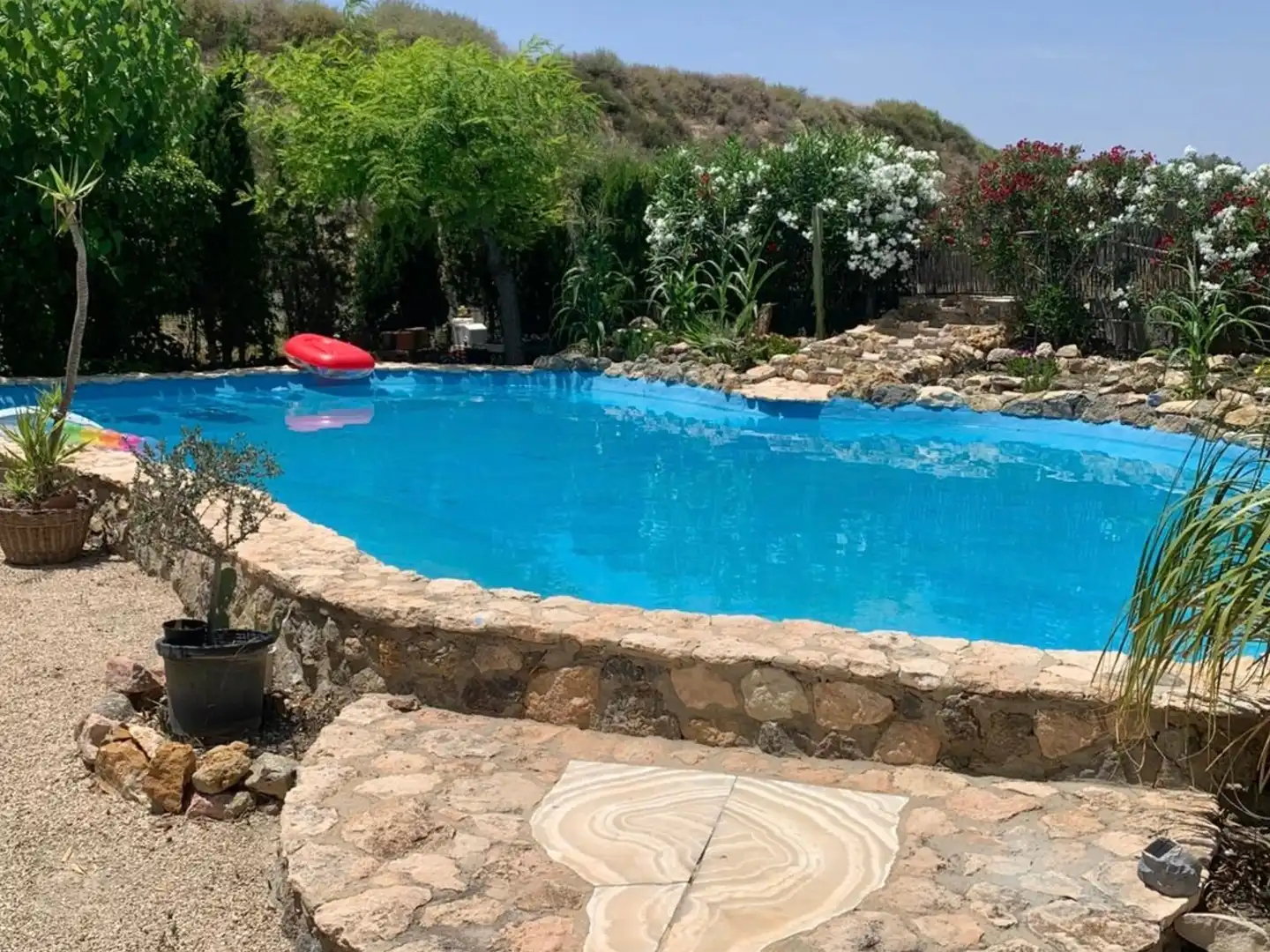 Piscina de Casa o chalet en venta en Novelda con Calefacción, Terraza y Piscina