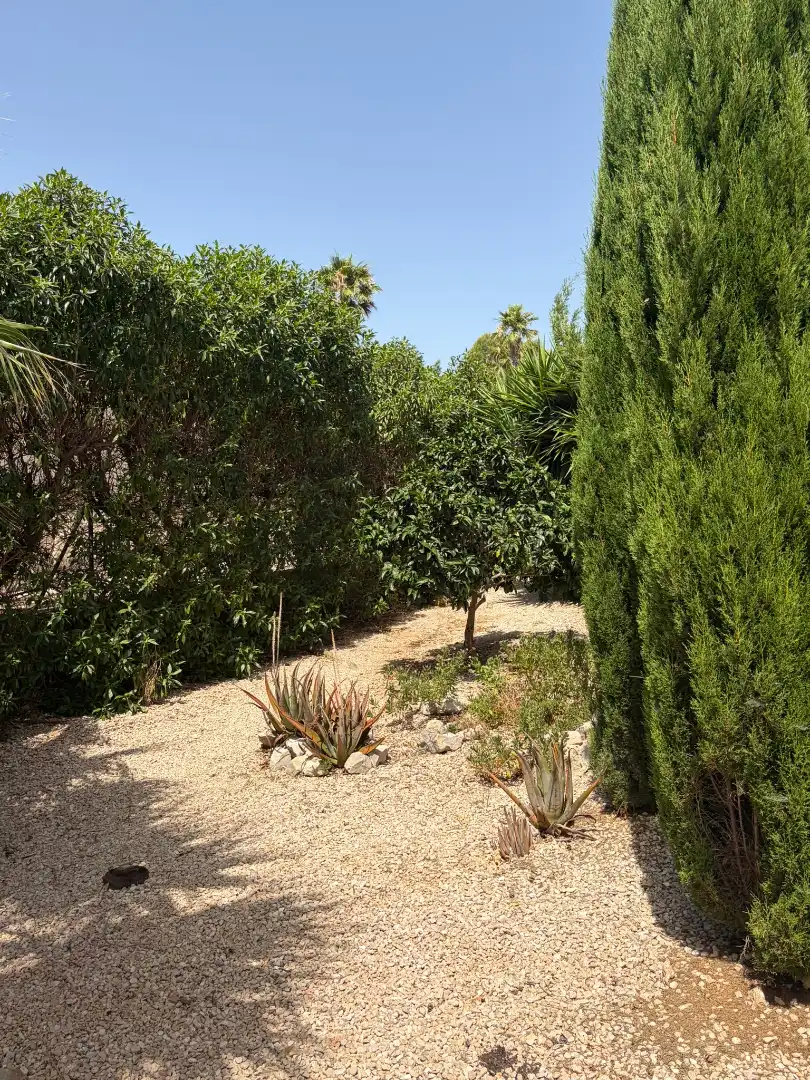 Jardín de Casa o chalet en venta en El Perelló con Aire acondicionado, Calefacción y Jardín privado