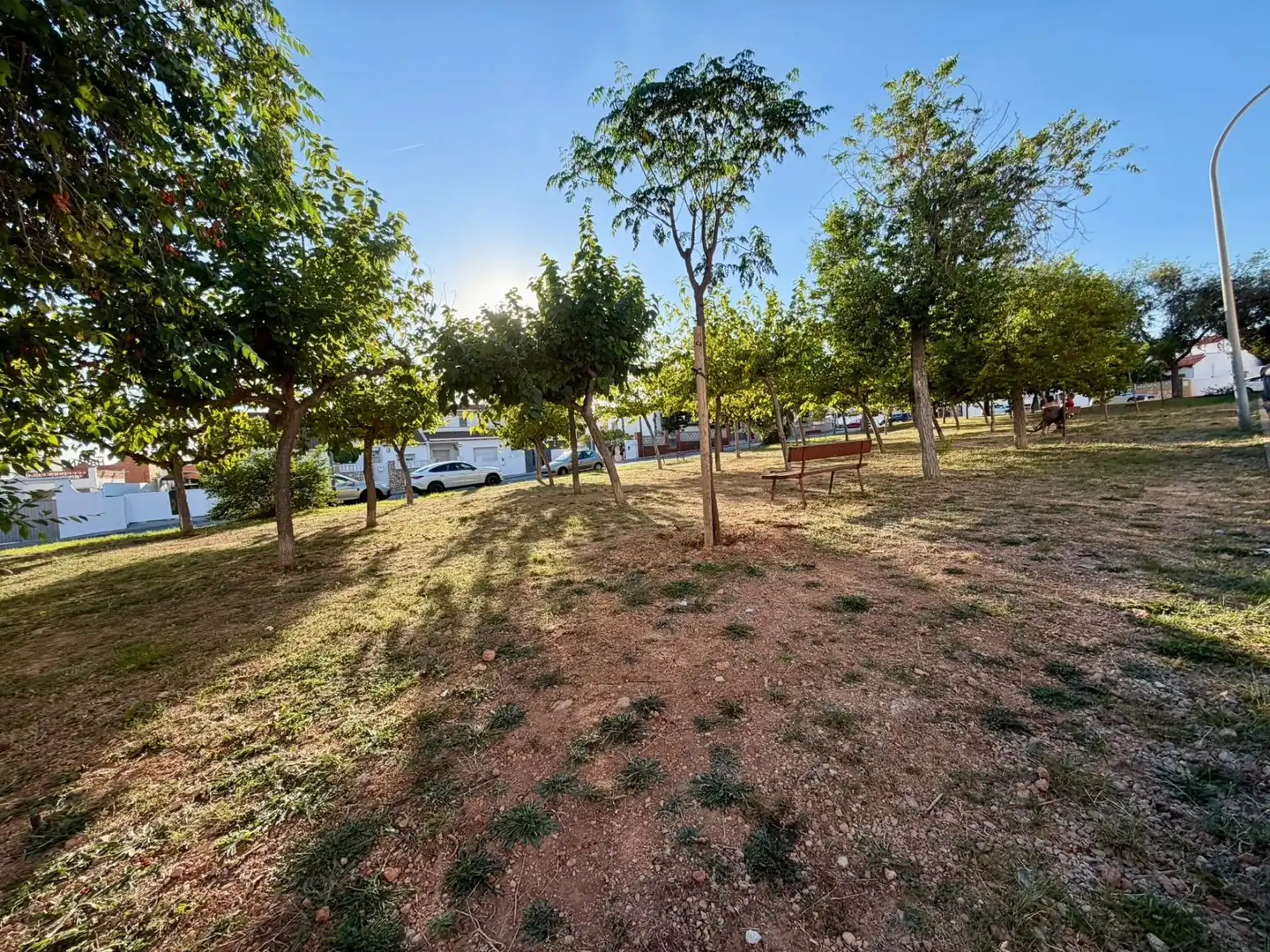 Flat for sale in Punta Falco, imagen 20