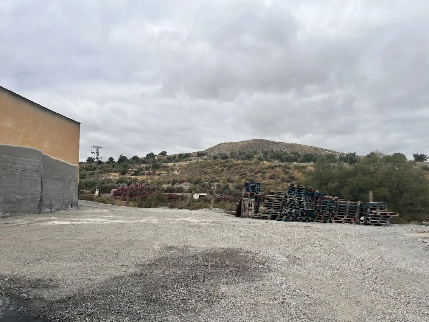 Exterior view of Industrial land for sale in La Malahá