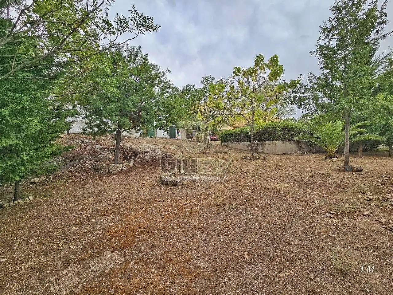 House with garden for sale in Arroyo de la Luz, imagen 50