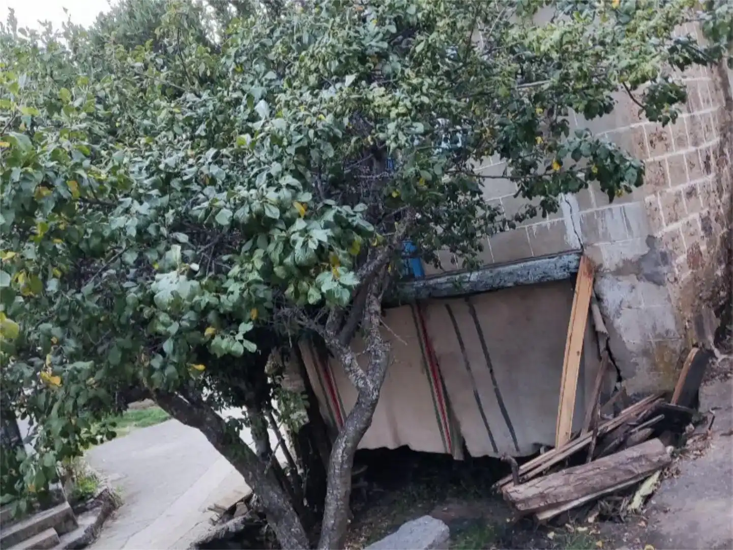 Vista exterior de Casa adosada en venda en Galende amb Jardí privat
