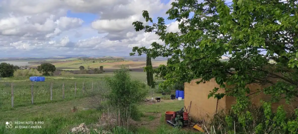Terreny rústic en venda a Arcos de la Frontera, imagen 21