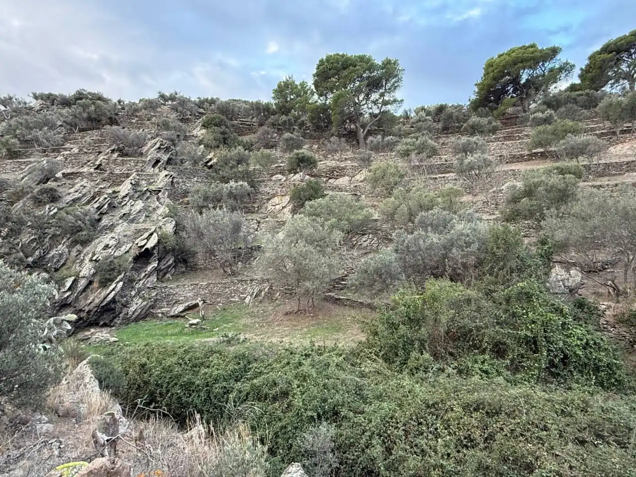 Rural land for sale in Cadaqués, imagen 13