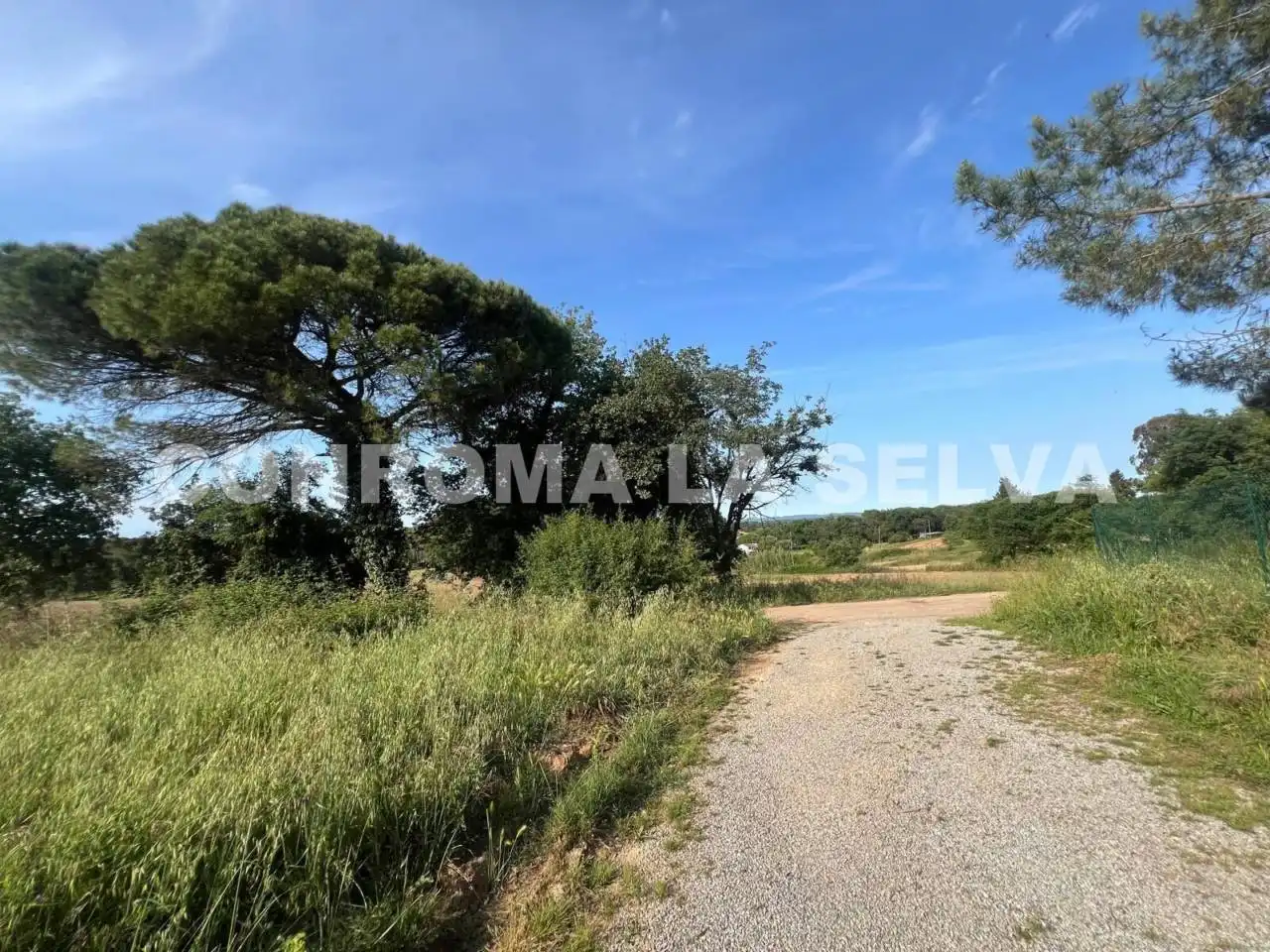 Terrain rustique à vendre à Riudarenes, imagen 4
