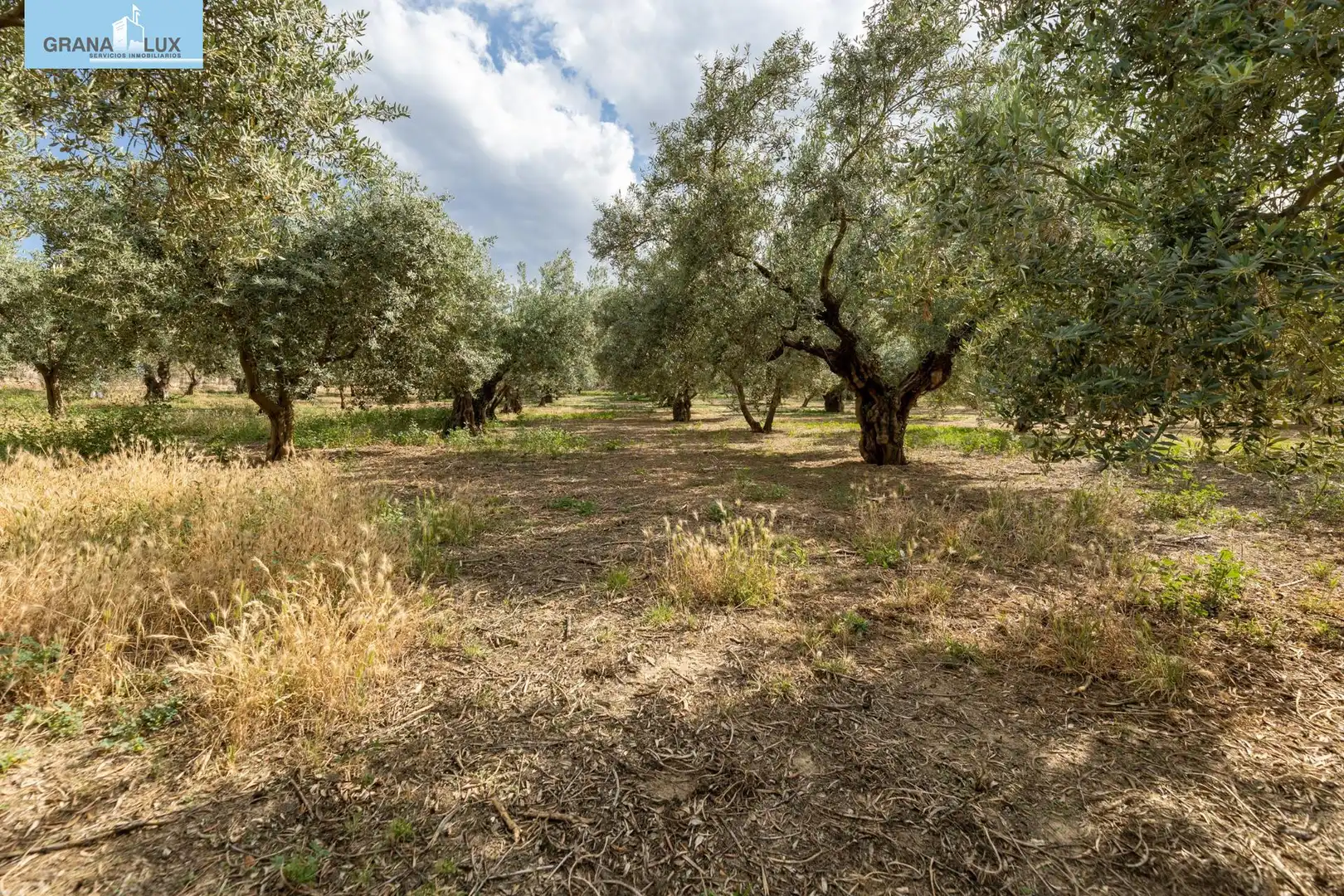 Terreno rustico in vendita a Calle POL 1, PARC 176, imagen 6