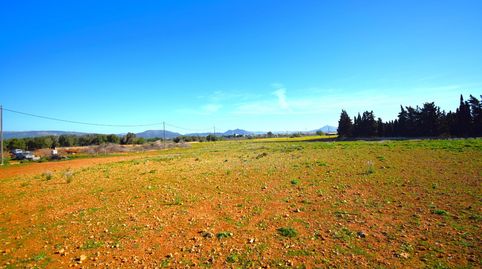 Foto 5 de Finca rústica en venta en Muro, Illes Balears