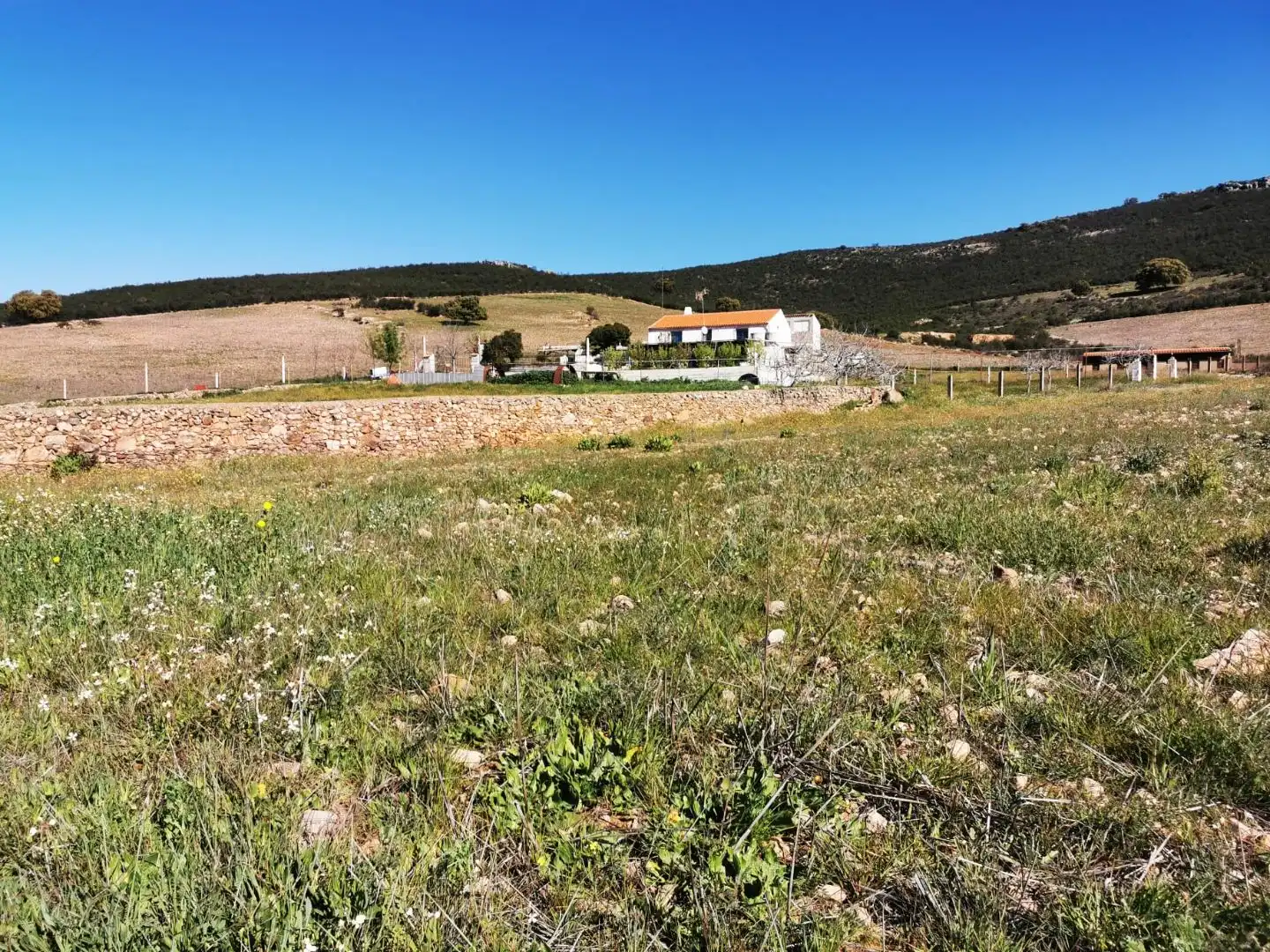 Terreny rústic en venda a parcela 191, imagen 5