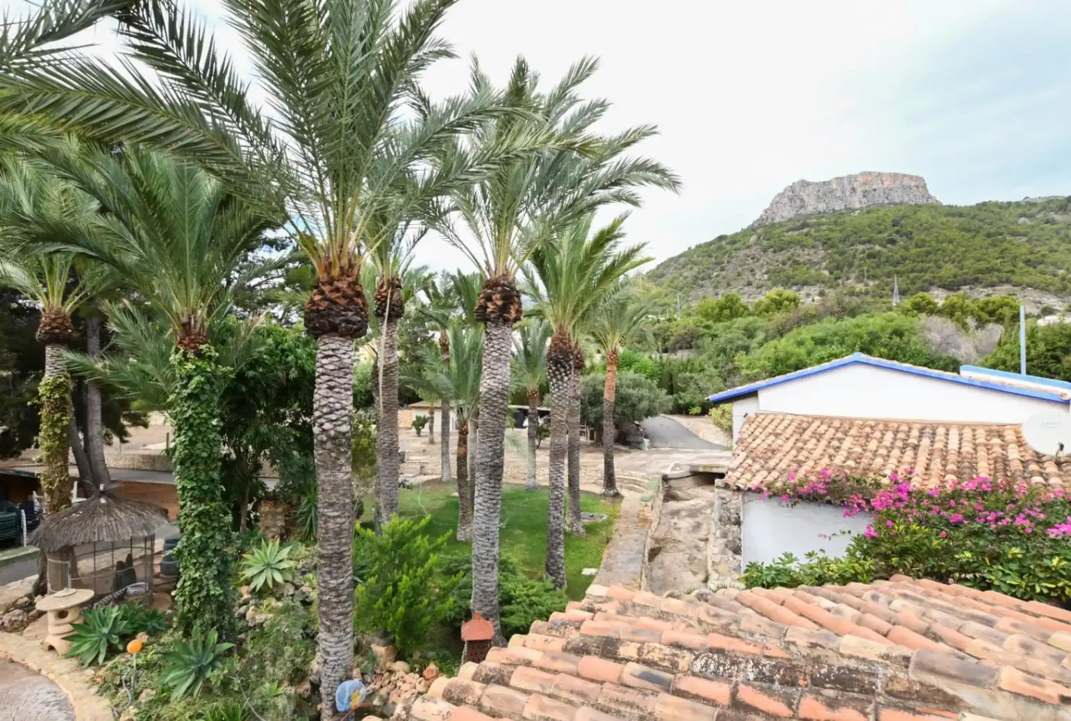 Country homes for sale in Canuta