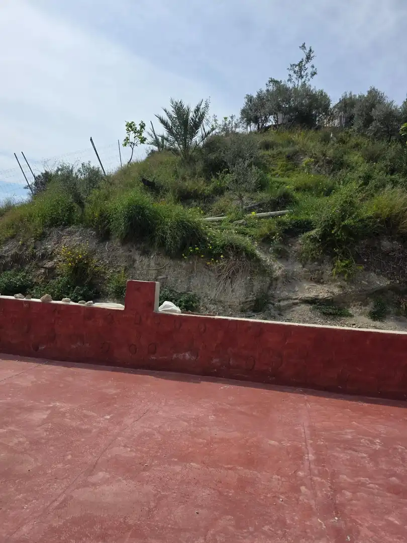 Jardí de Finca rústica en venda en Cuevas del Almanzora amb Jardí privat i Terrassa