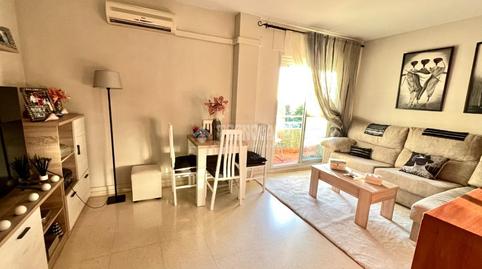 Foto 3 de Pis en venda a Cobreros Viejo, Cádiz