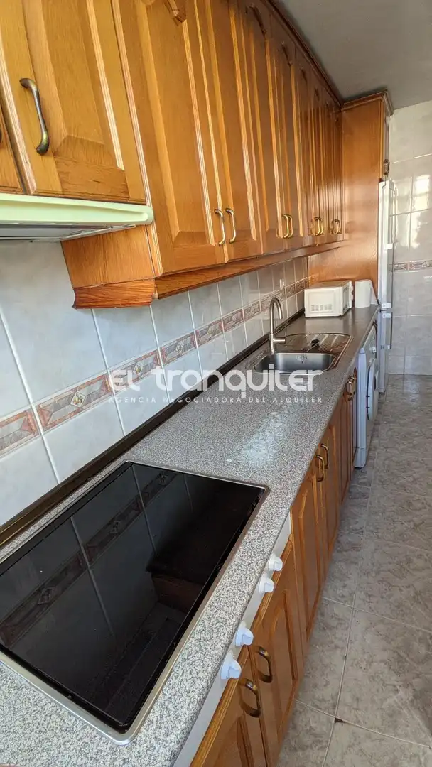 Cuina de Pis de lloguer en Madrid amb Terrassa i Moblat