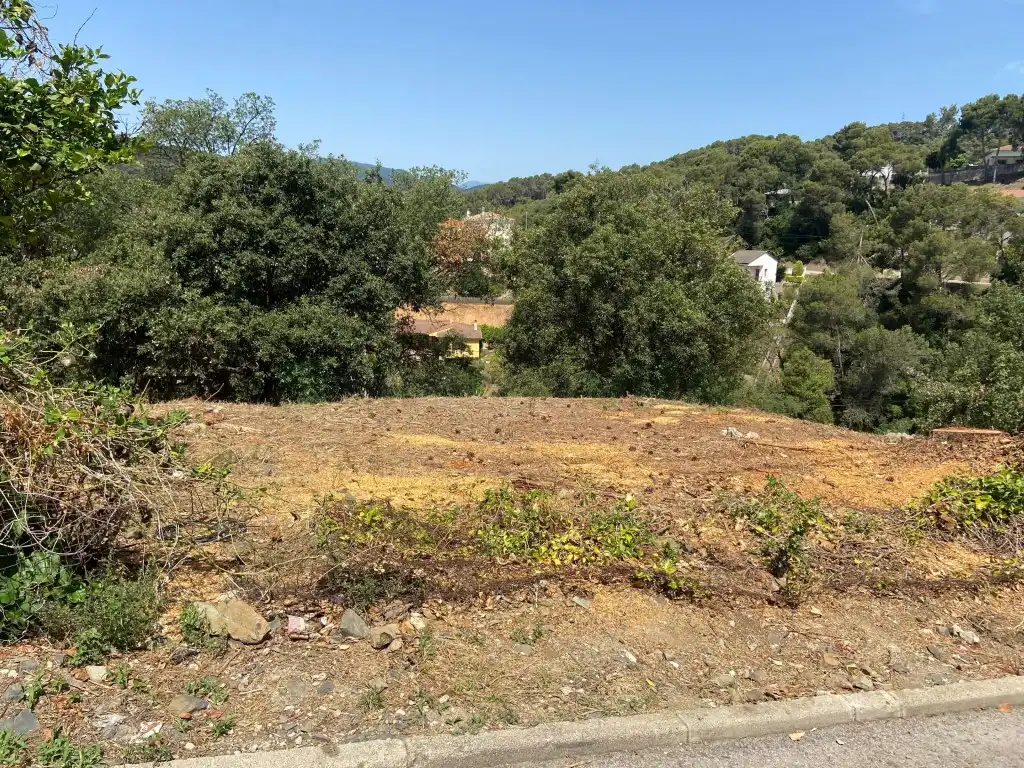 Residential land for sale in Calle Ginesta, imagen 14