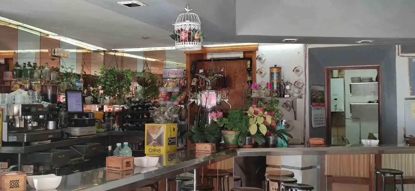 Local comercial en venta en Avenida José Simón de Lillo 35, imagen 10
