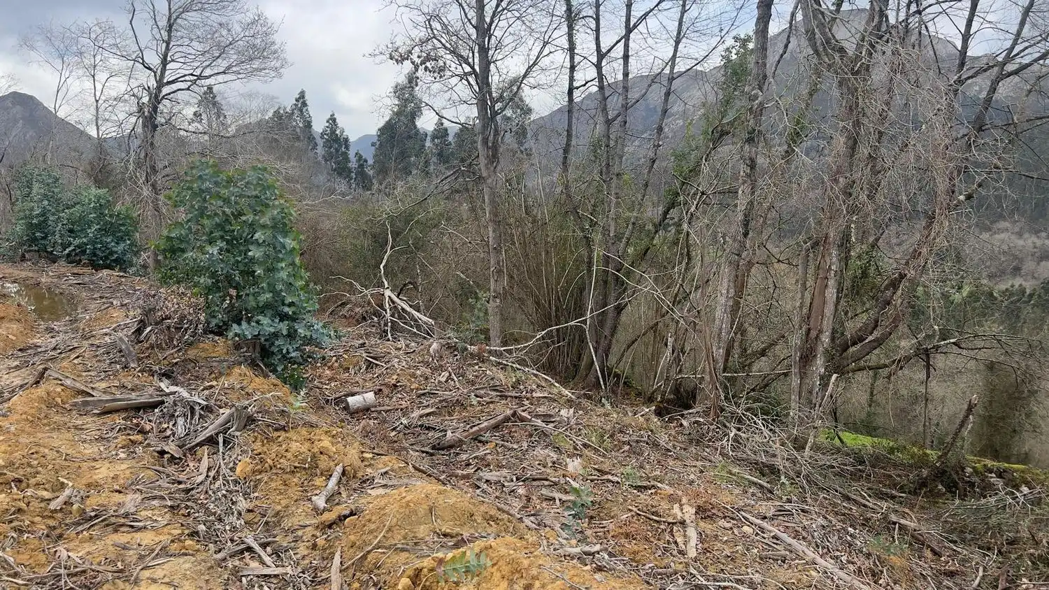 Residencial en venda en Llanes
