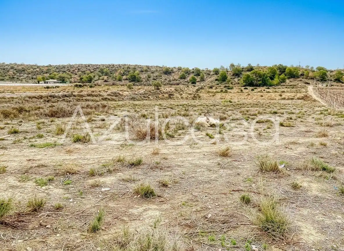 Terreny en venda en Monforte del Cid