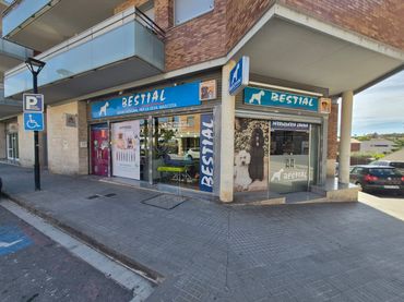 Locale commerciale in affitto a Masquefa