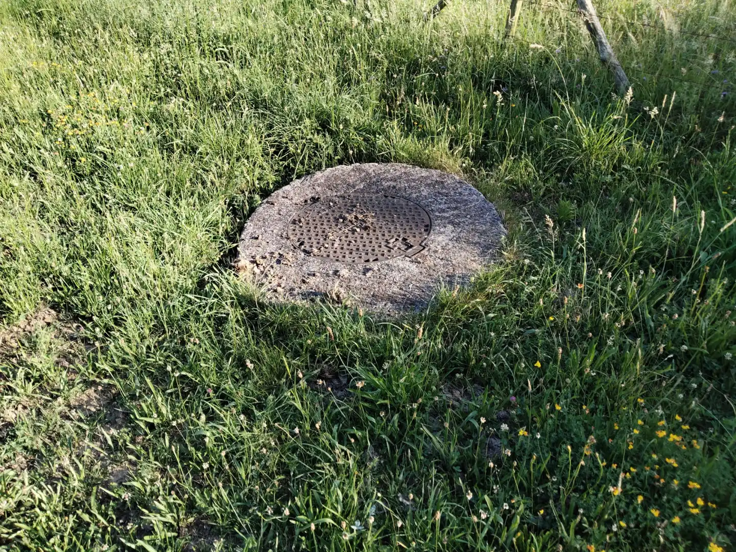 Jardí de Residencial en venda en Rionansa