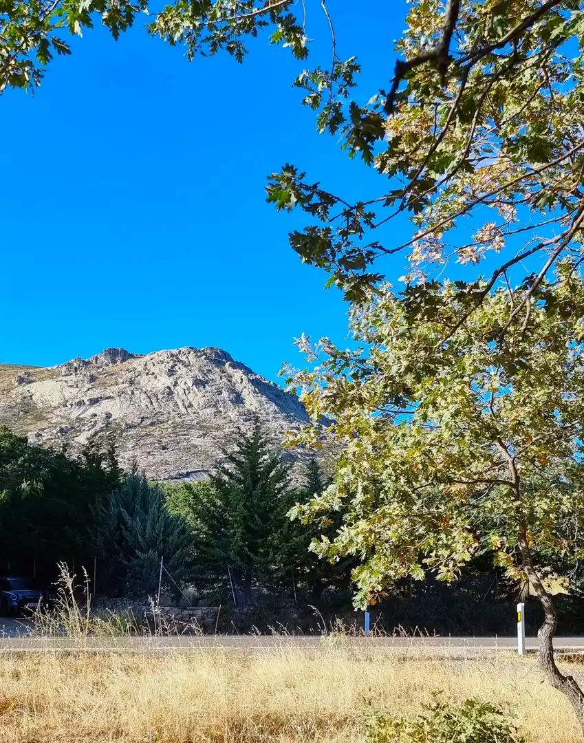 Terreno rustico in vendita a Carretera de Valdemanco 33, imagen 8