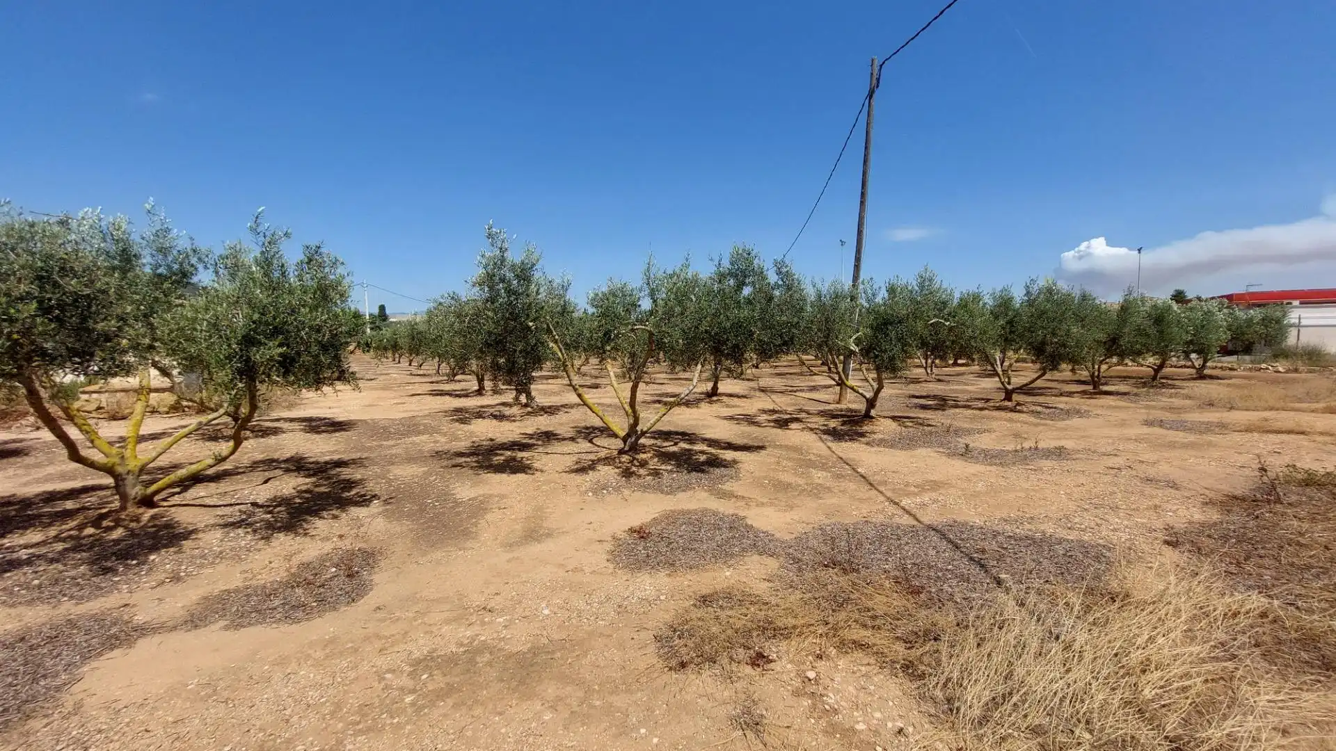 Casa rustica in vendita a Eucaliptus- Poble Nou del Delta, imagen 35
