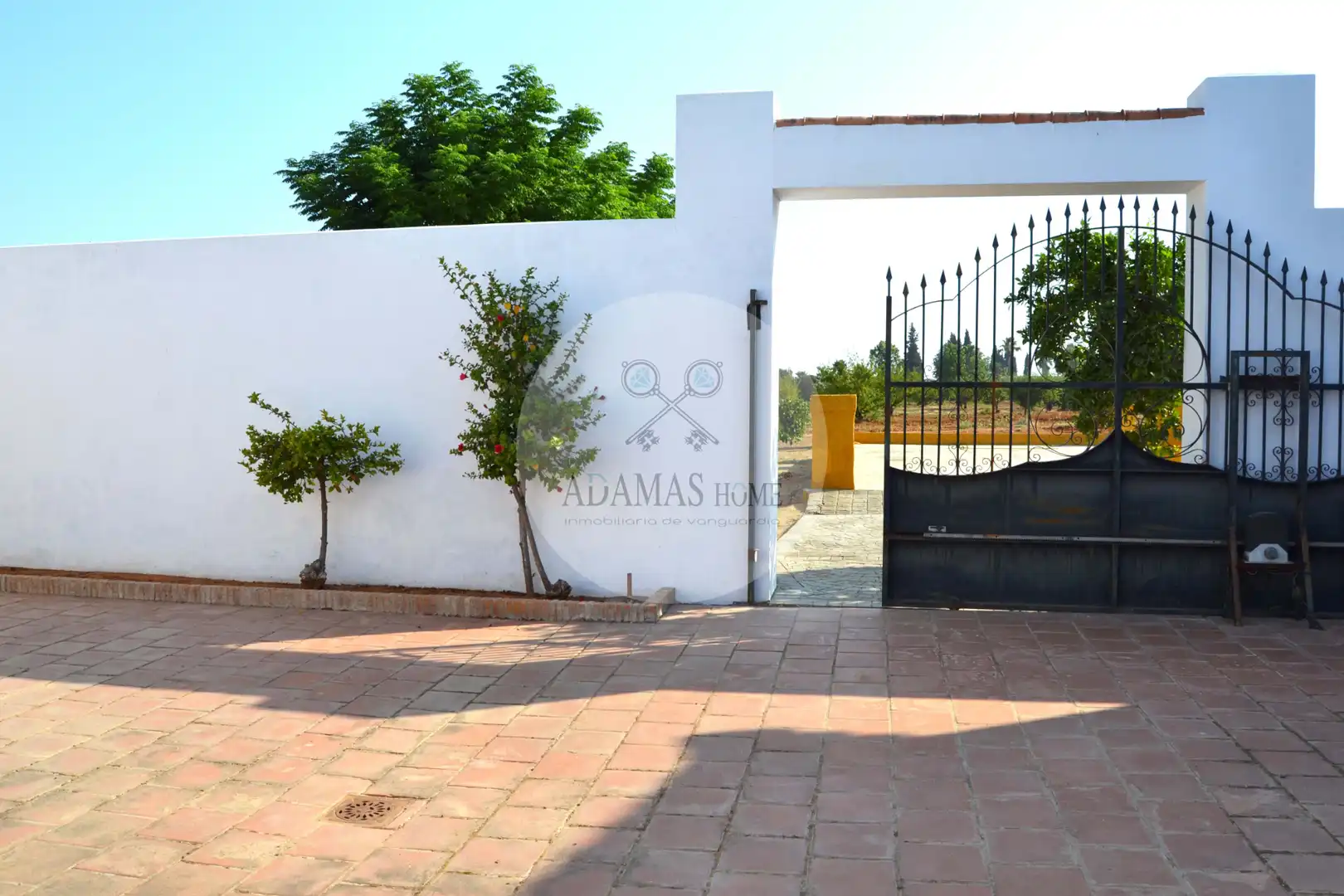 Jardí de Casa o xalet en venda en Sanlúcar la Mayor amb Jardí privat, Terrassa i Piscina