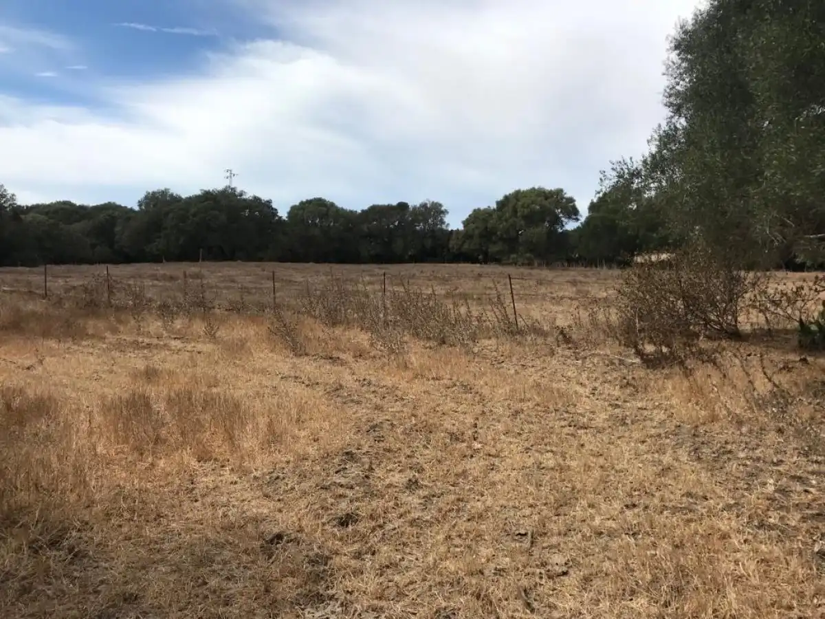 Terrain rustique à vendre à Vejer