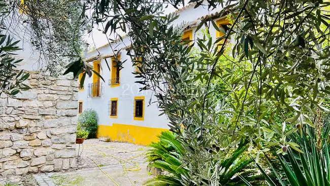 Vista exterior de Finca rústica en venta en Úbeda con Jardín privado, Terraza y Piscina