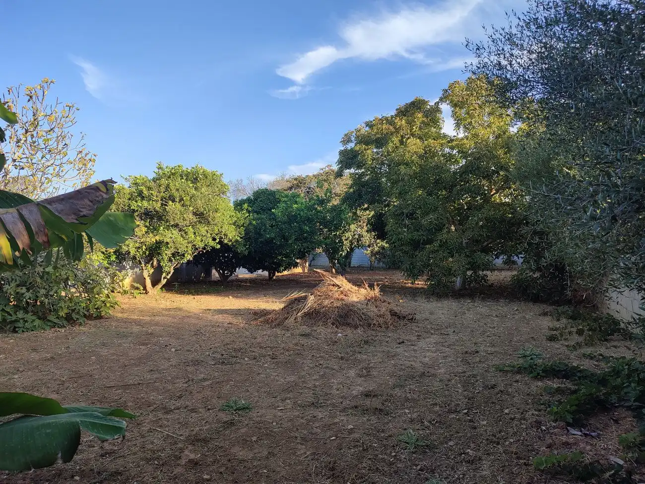 Casa o chalet en venta en Conil de la Frontera con Aire acondicionado, Terraza y Trastero
