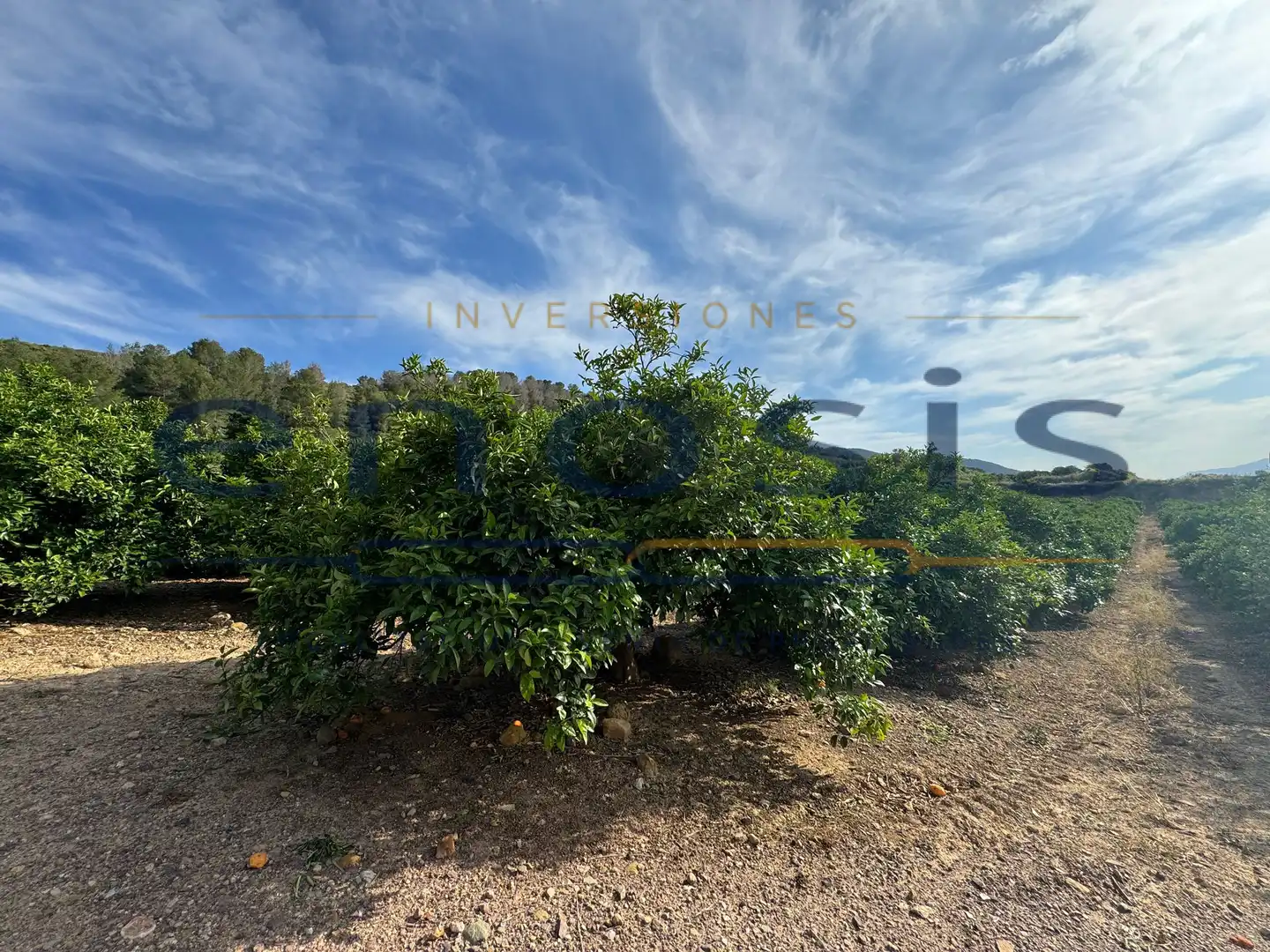 Grundstücke zum Verkauf in Alhama de Murcia