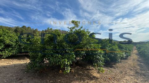 Photo 5 of Land for sale in Rm-603, Sierra de Carrascoy, Alhama de Murcia