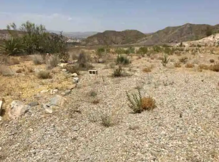 Lands and plots for sale in Cantoria, imagen 2