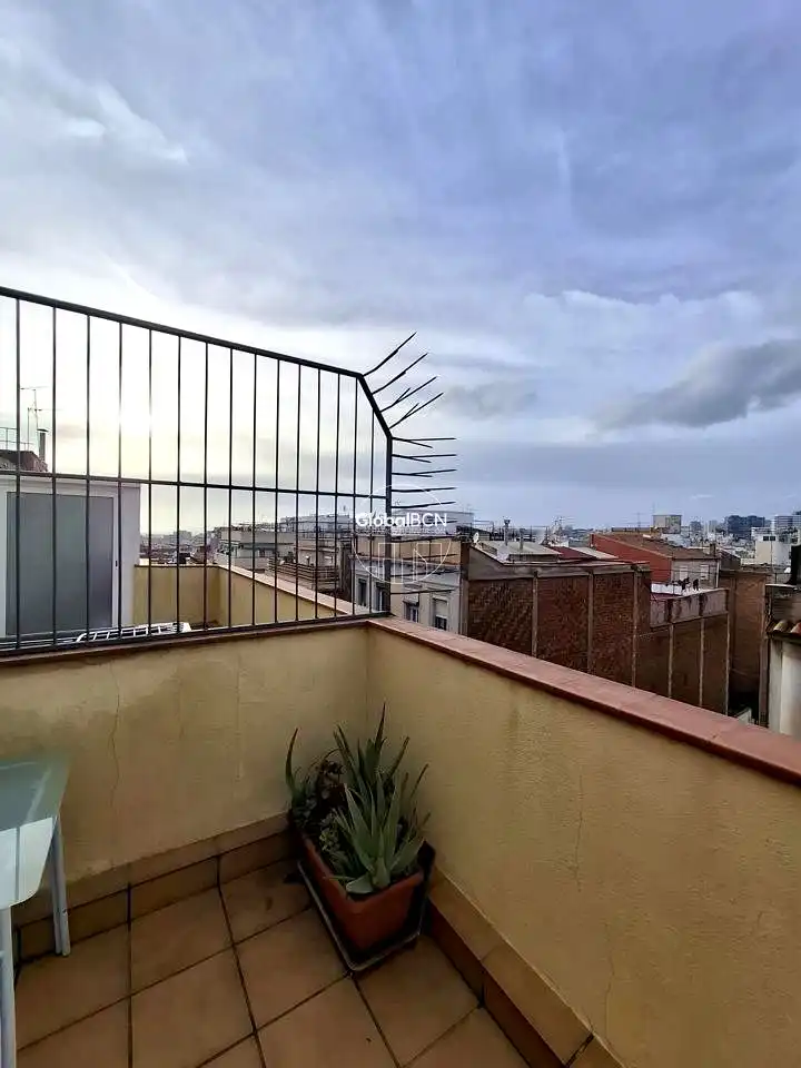 Pis de lloguer a Mas, La Torrassa