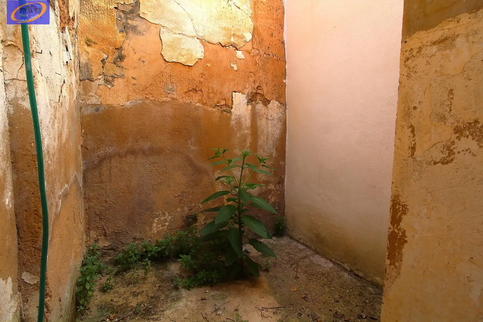 Garden of Houses for sale in Utiel