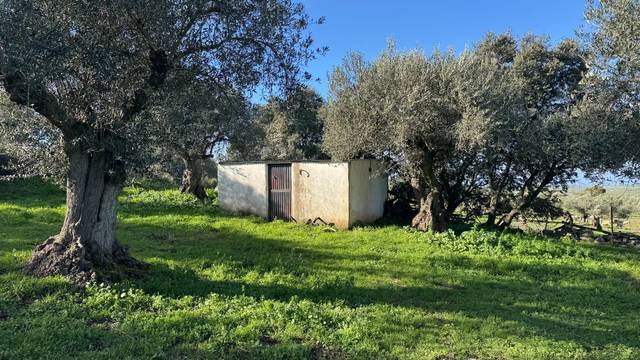 Terreno en Venta en N/A, -1 en Valencia de Alcántara