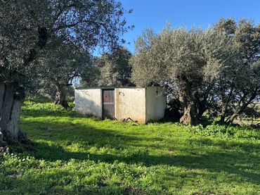 Terreno rustico in vendita a Valencia de Alcántara