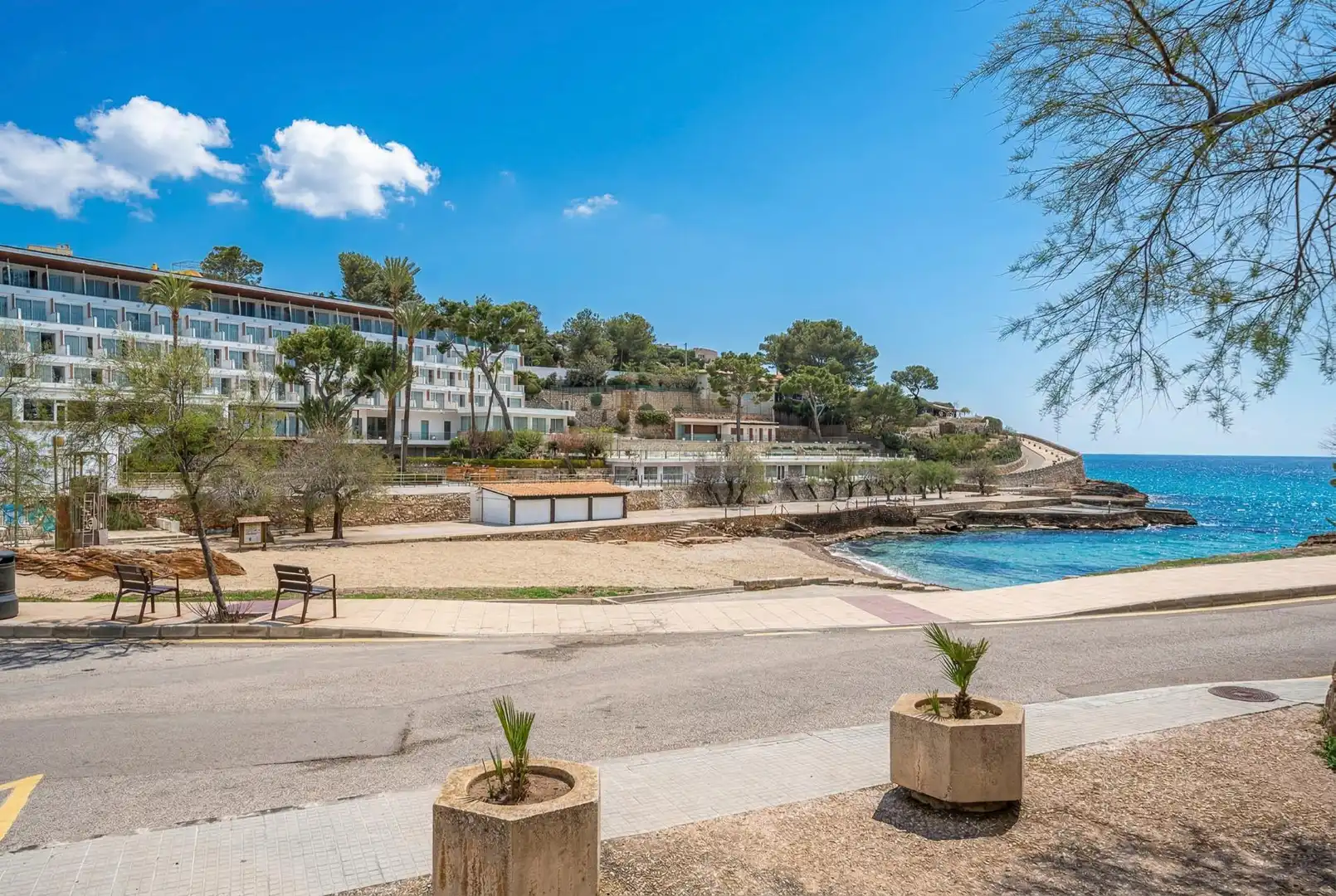 Swimming pool of Apartments for sale in Pollença  with Private garden, Terrace and Furnished