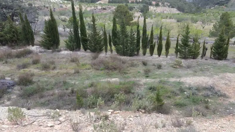 Lands and plots for sale in C/ Las Lagunas, imagen 10