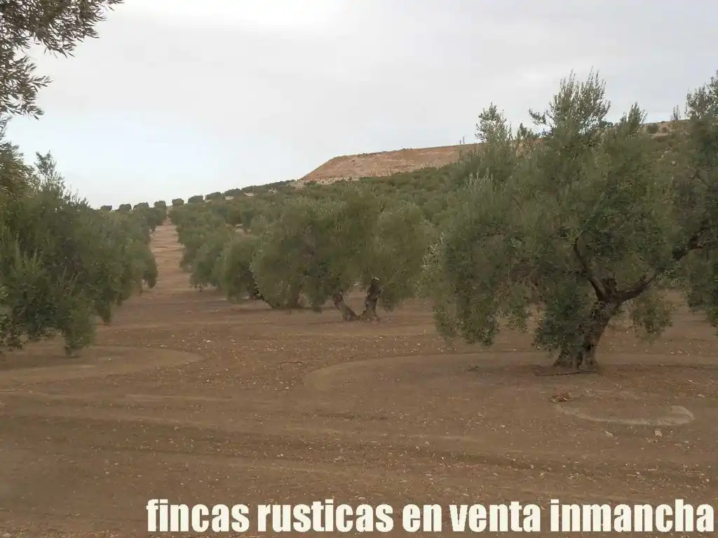 Terreni e lotti in vendita a Andújar, imagen 21
