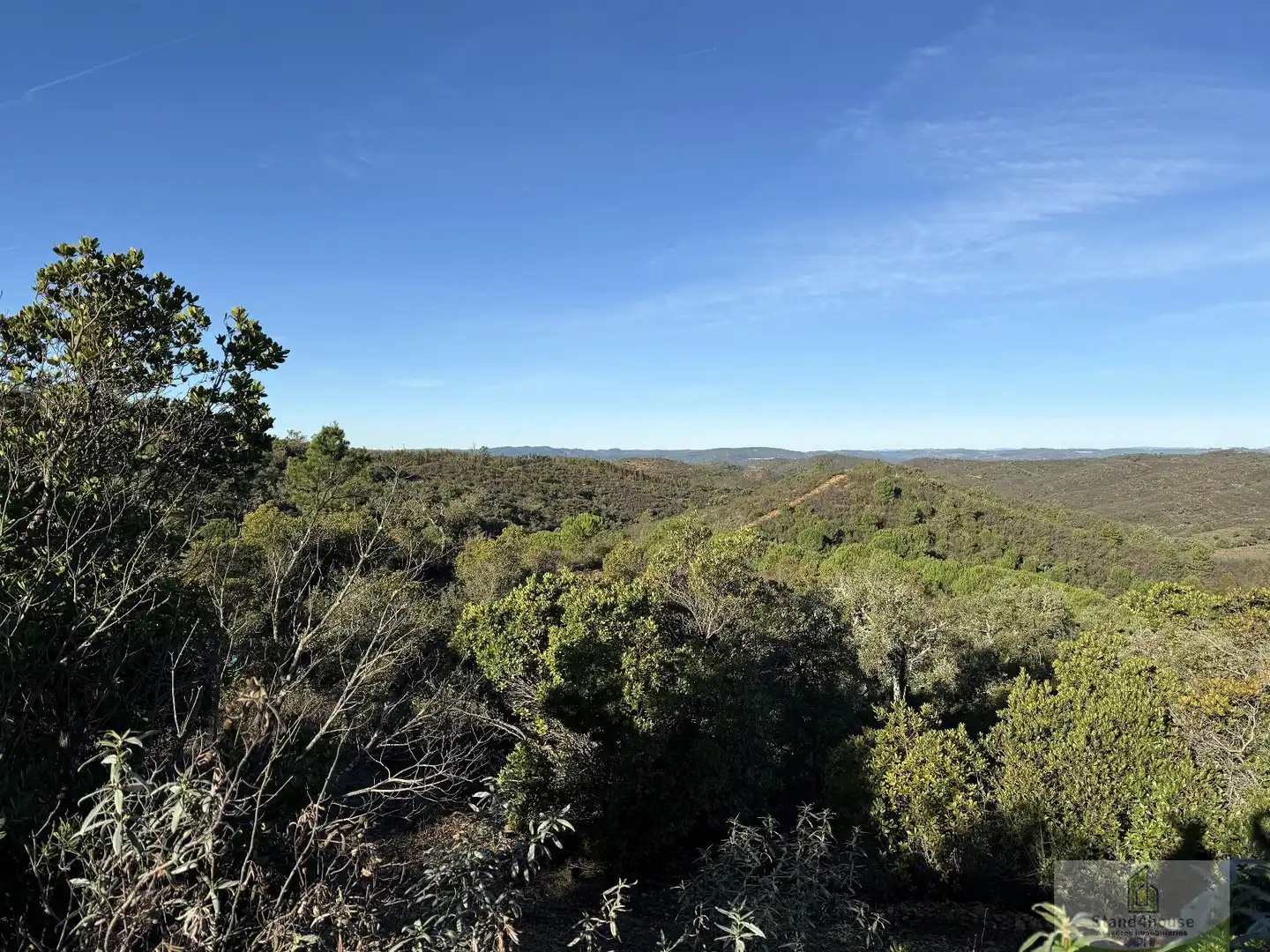 Finca rústica en venta en Berrocal
