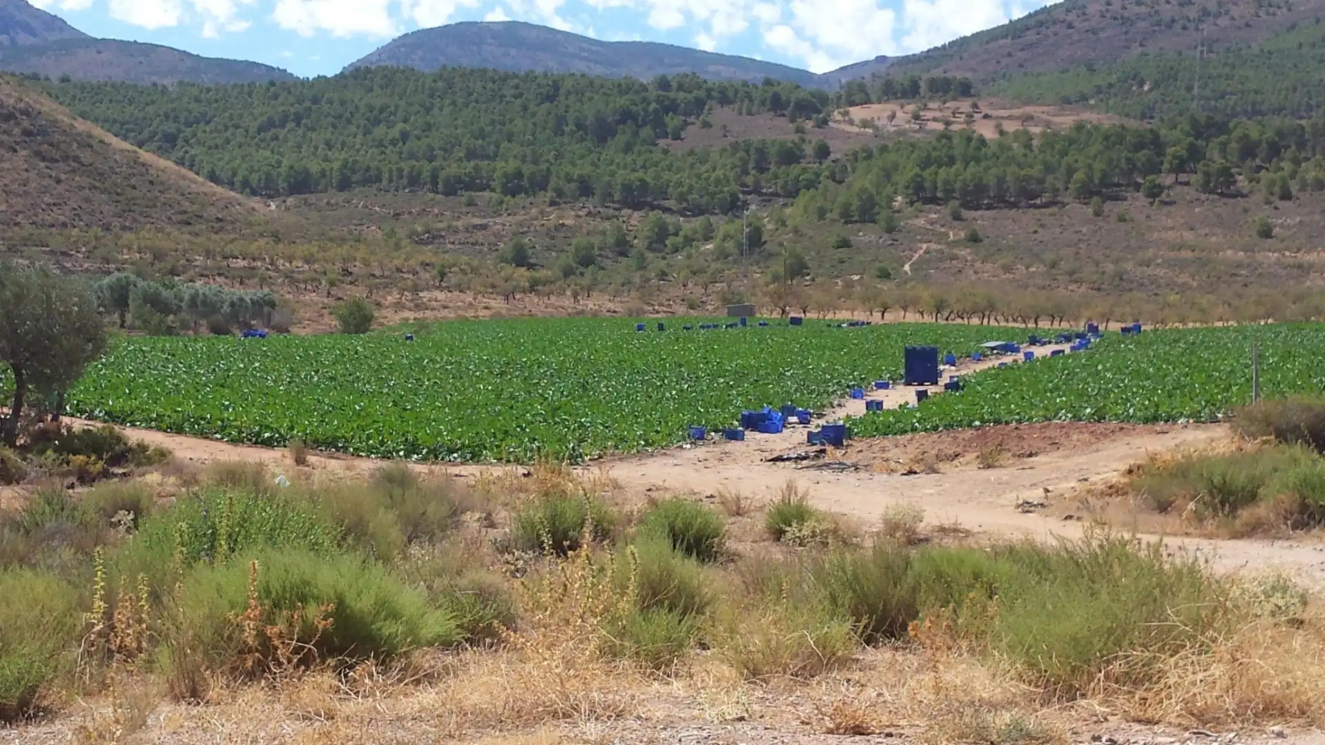 Rural land for sale in Laujar de Andarax, imagen 37