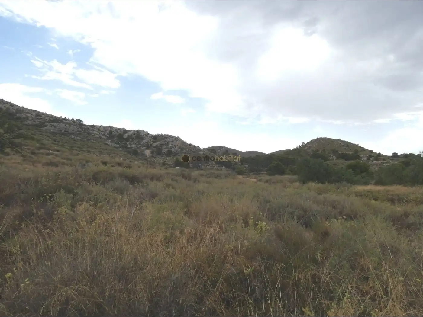 Terreno rustico in vendita a Petrer, imagen 3