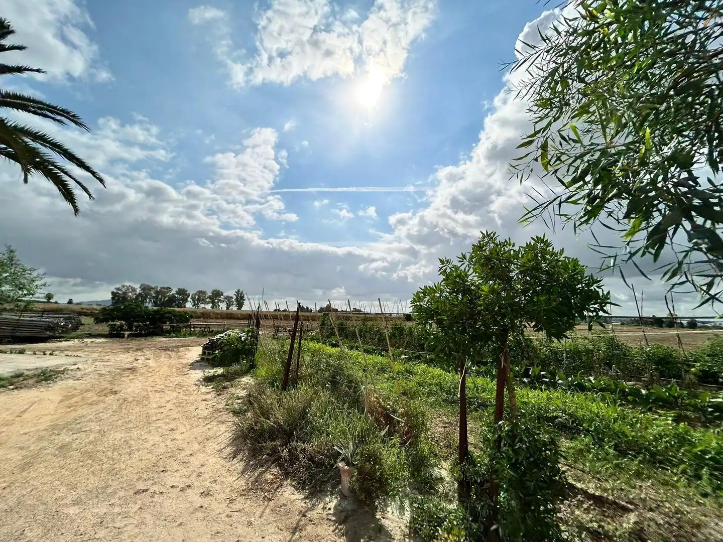 Landhaus mit Garten zum Verkauf in Jerez norte - Montealto - Pozoalbero, imagen 48
