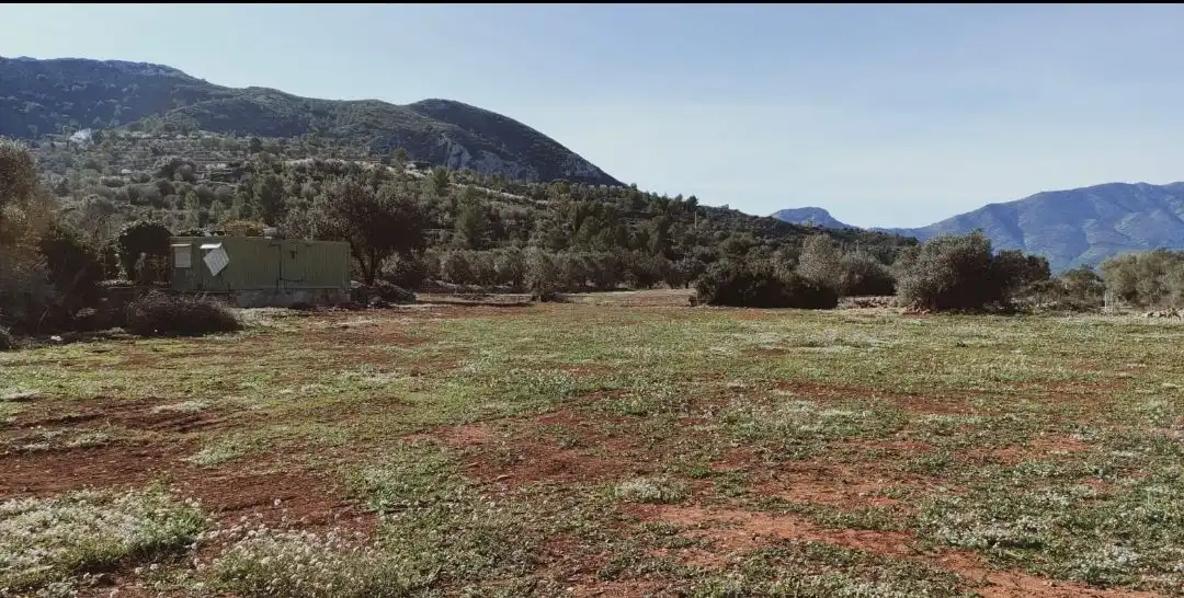 Casa rústica en venda a Alcalalí, imagen 21