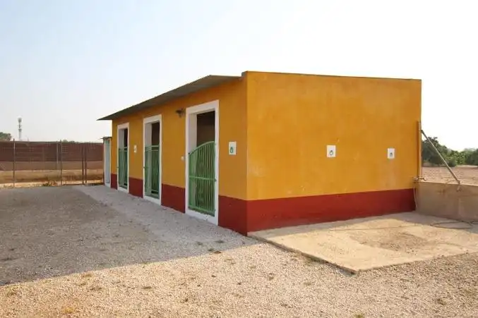 Vista exterior de Finca rústica en venta en Daya Nueva con Jardín privado, Terraza y Trastero