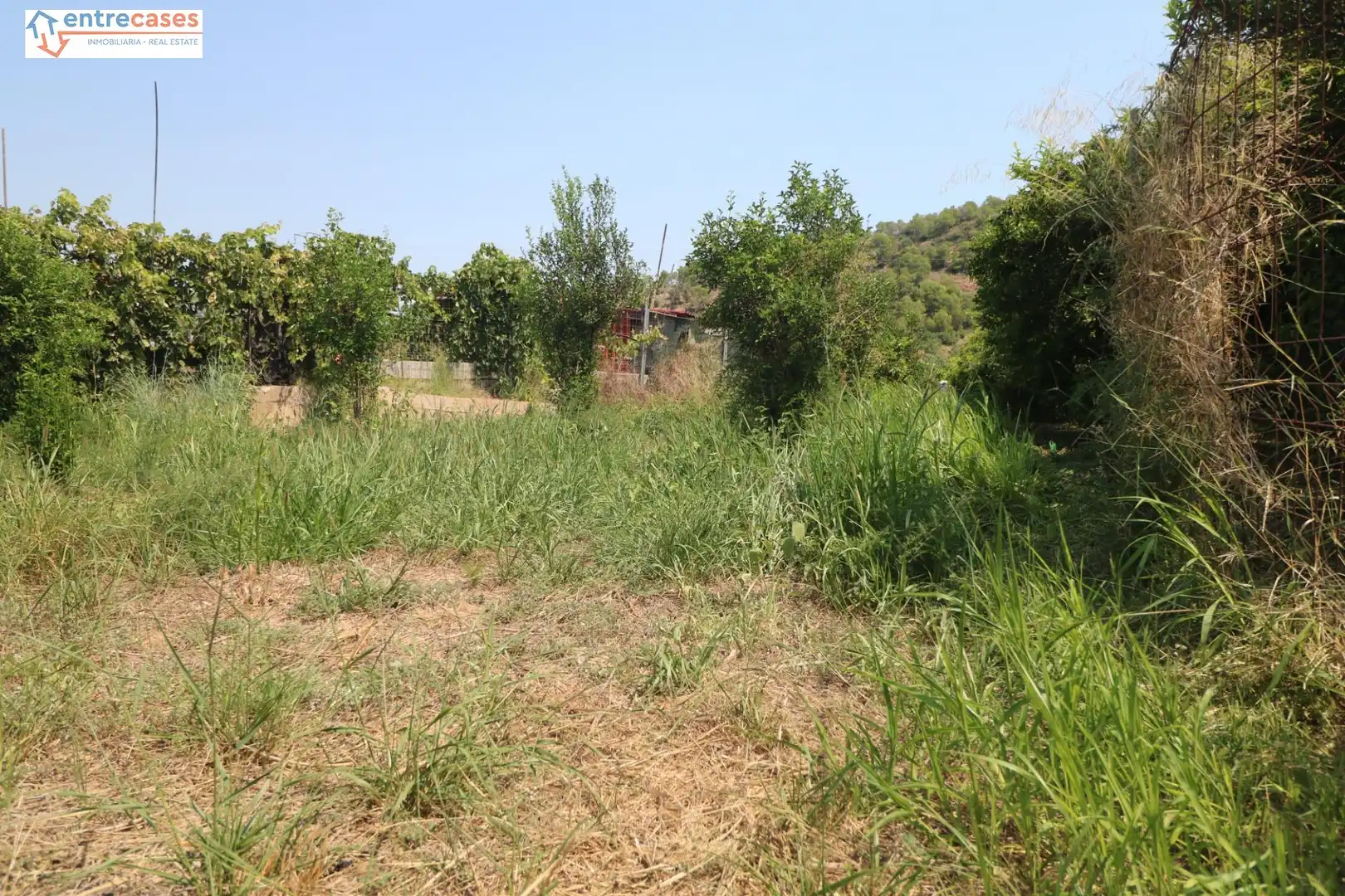 Rural land for sale in Gilet, imagen 14