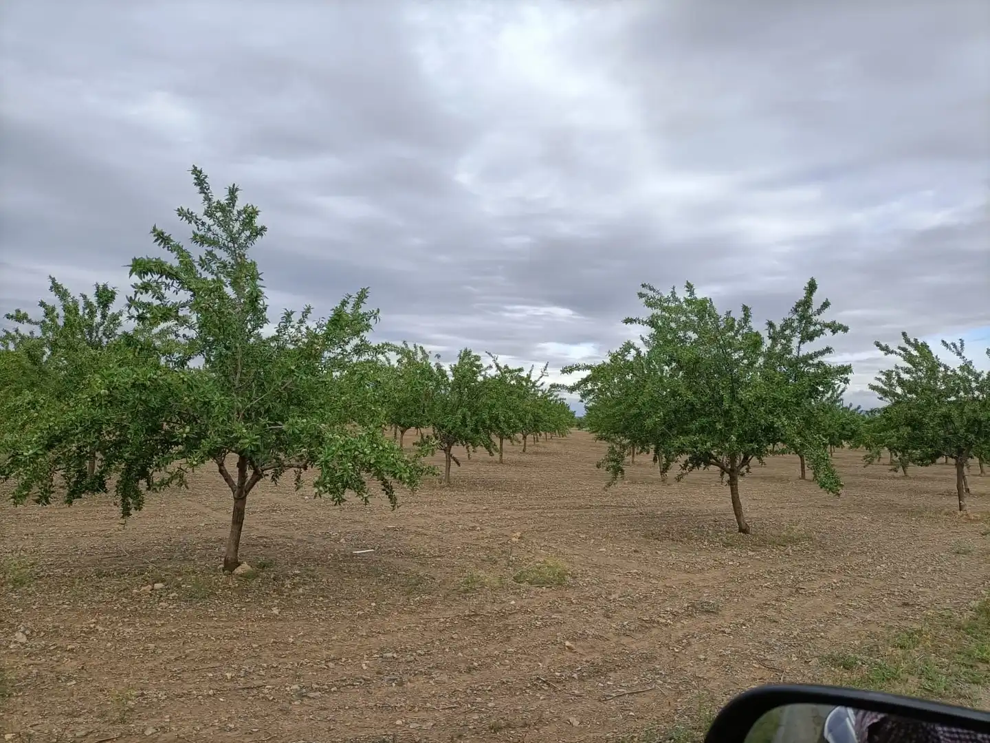 Terreno rustico in vendita a Nambroca, imagen 2